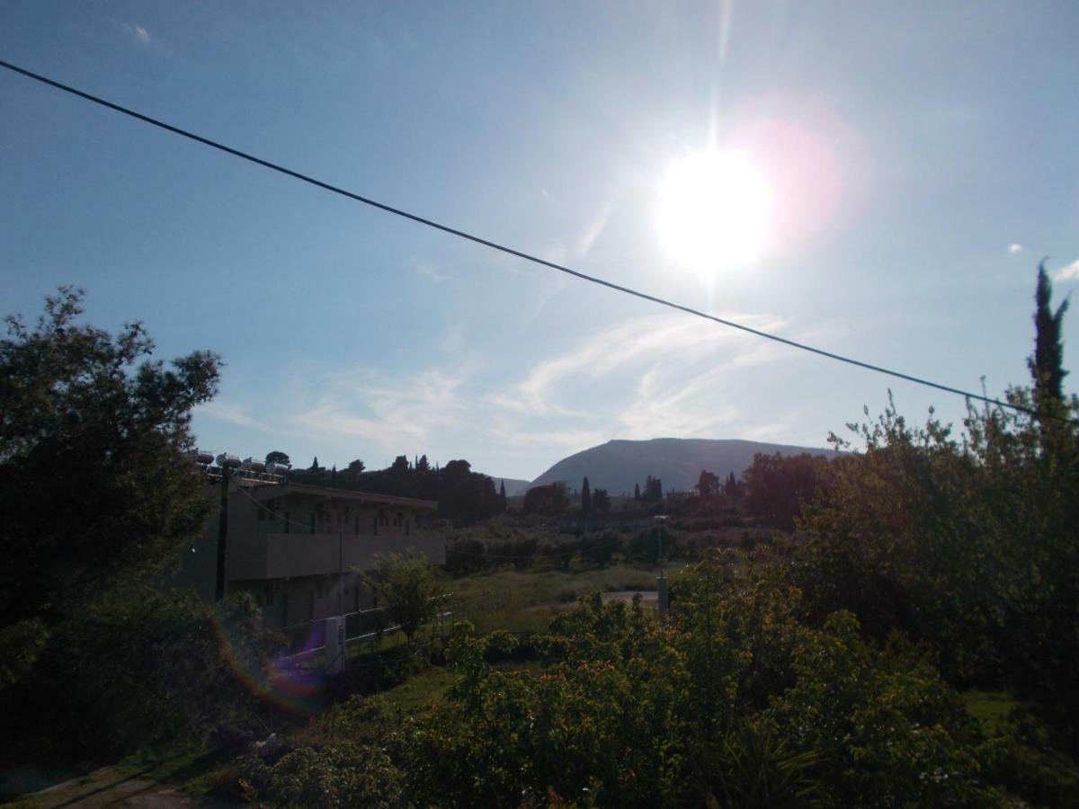 Summer Holidays In Laganas Apartments Extérieur photo